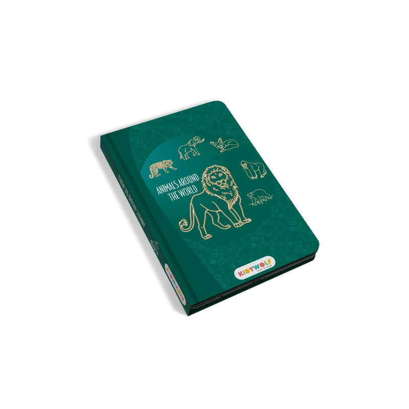 Kidywolf Kidydraw-Mini Tracing book