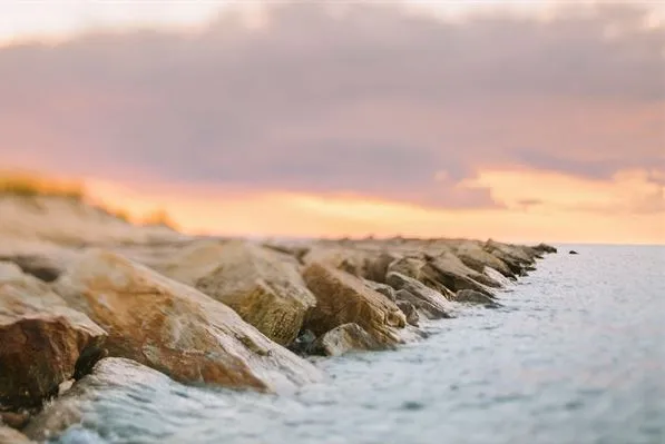 Lensbaby Composer Pro II Monture E Sony avec Edge 50