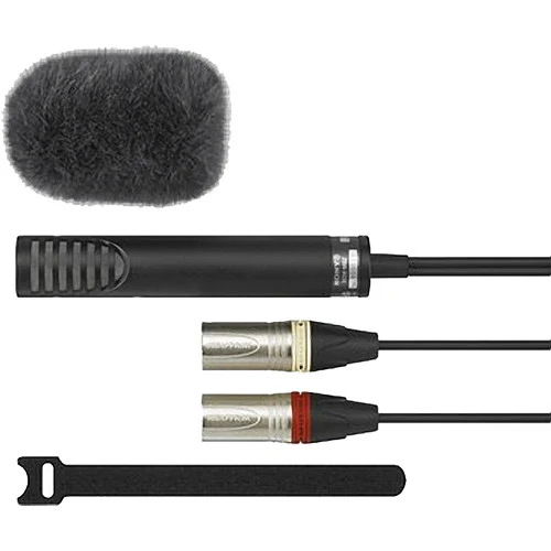 Sony Microphone ECM-MS2