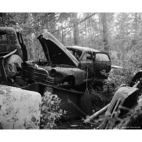 CineStill BWxx (Double-X négatif) 120