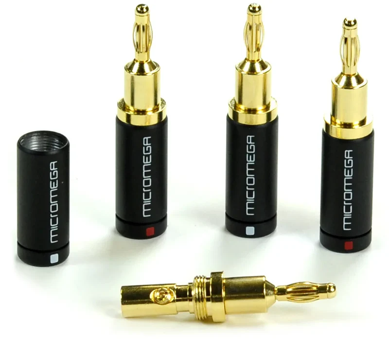 Micromega Boîte de 4 fiches bananes