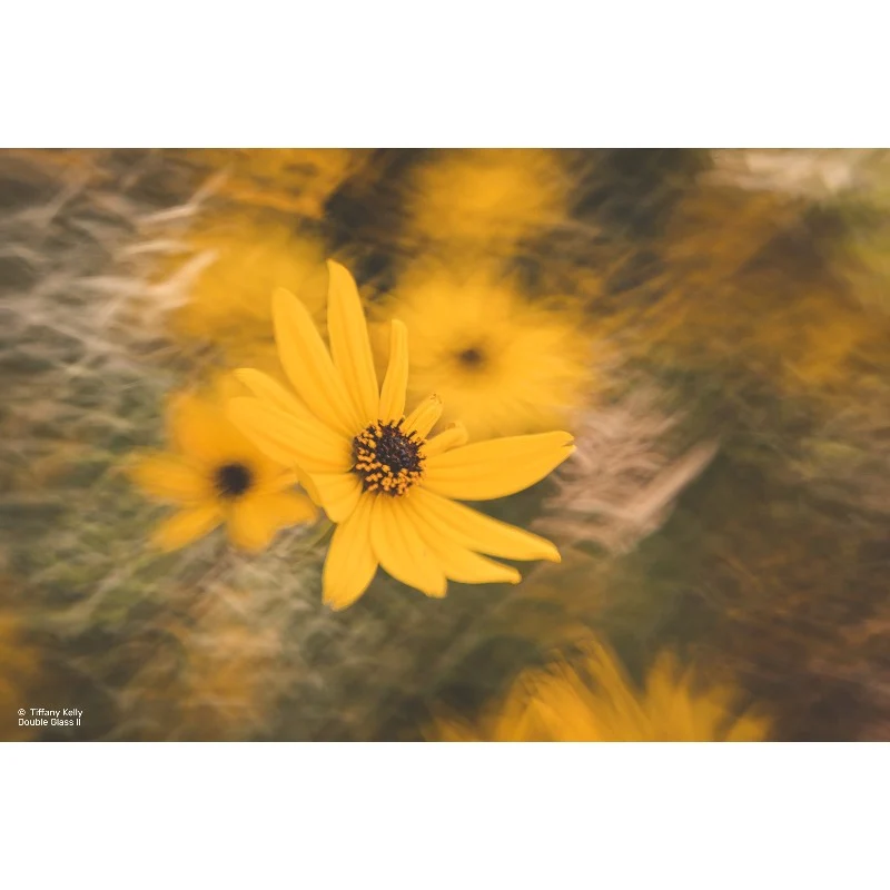 Lensbaby Composer Pro II avec Double Verre II pour Canon EF