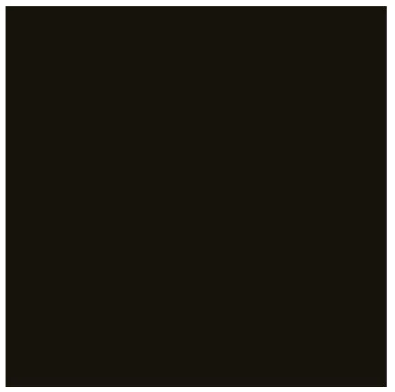 Bresser SBP02 Rouleau de Fond 2.00x11m noir