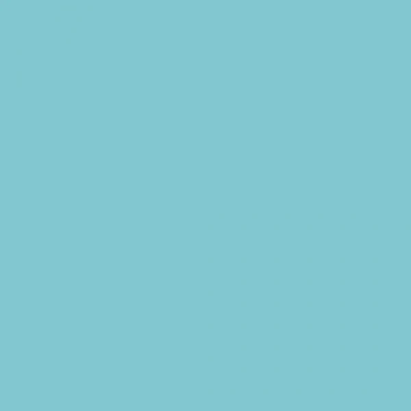 Bresser SBP18 Rouleau de fond 2,72x11m bleu