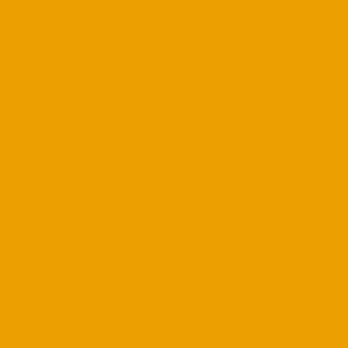 Bresser SBP14 Rouleau de fond 2.72x11m jaune bouton d'or