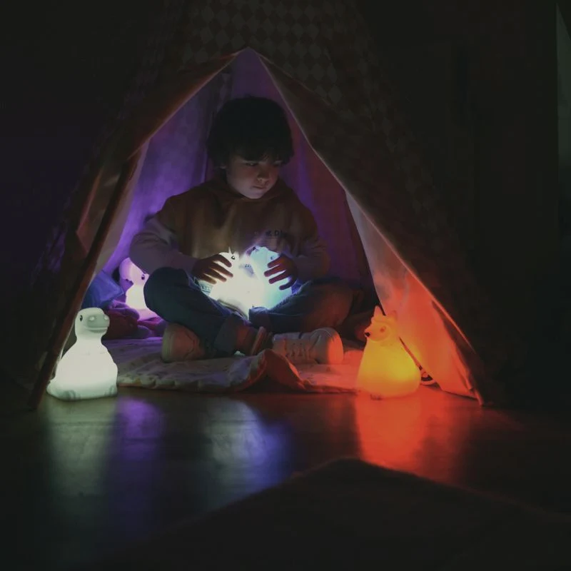Kidywolf Kidynight Dino Kids Night Light
