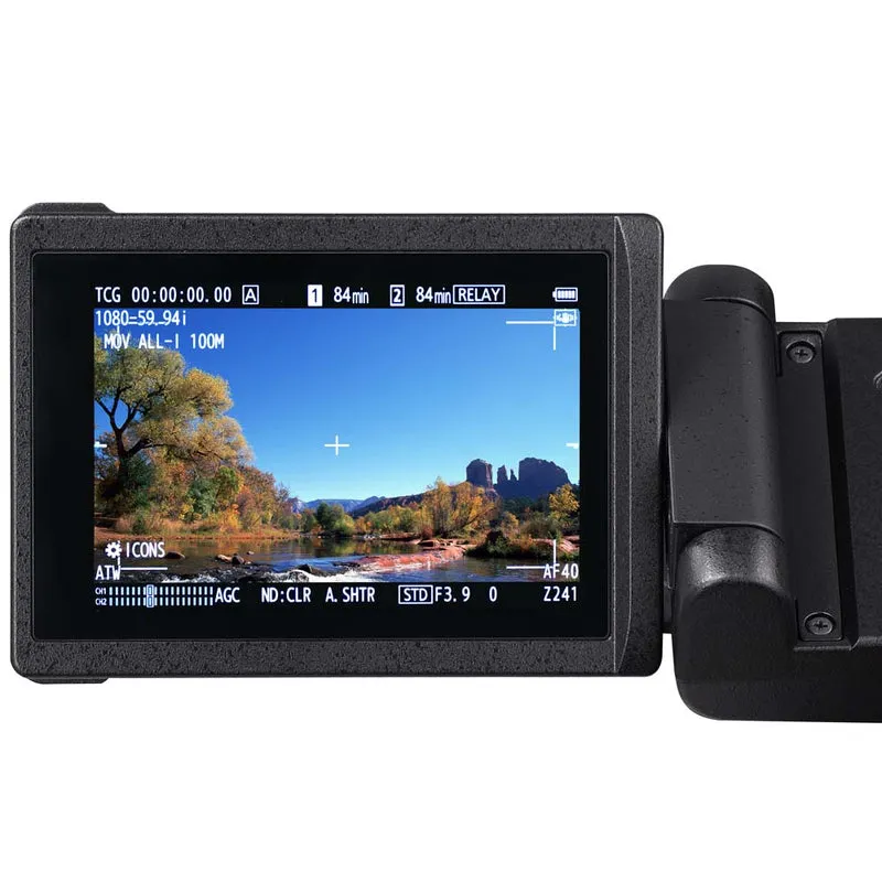 Panasonic AG-CX350 Caméscope 4K Professionnel