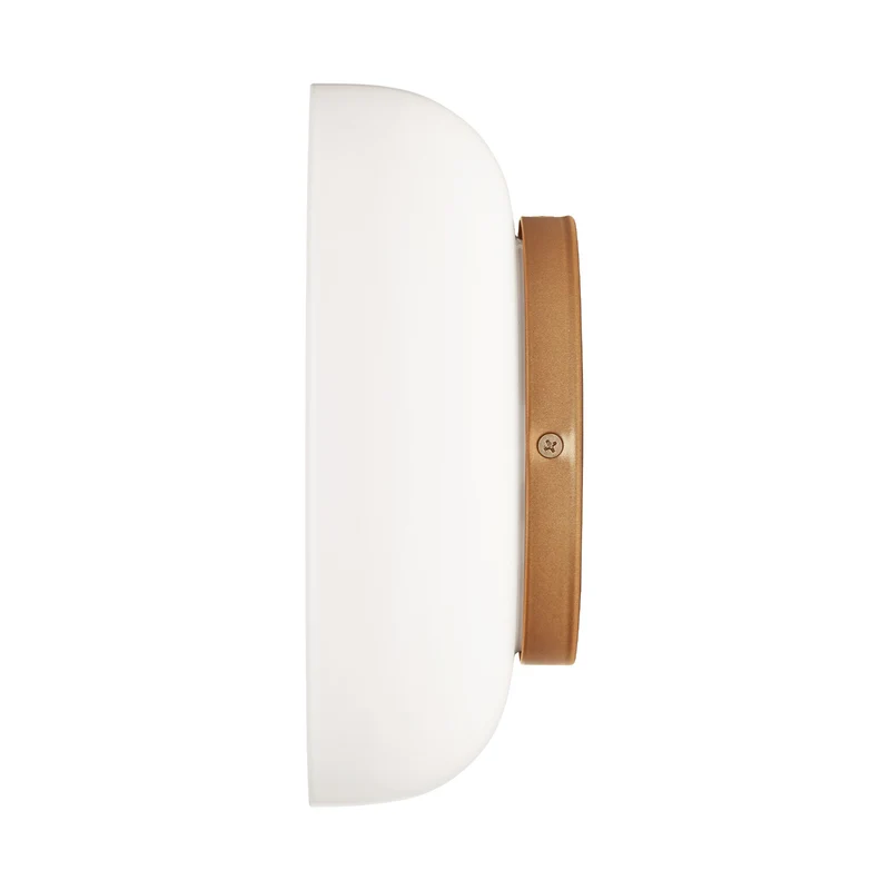 Nuura Blossi Wall-Ceiling Lamp