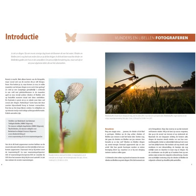 Fotografiegids Vlinders en Libellen
