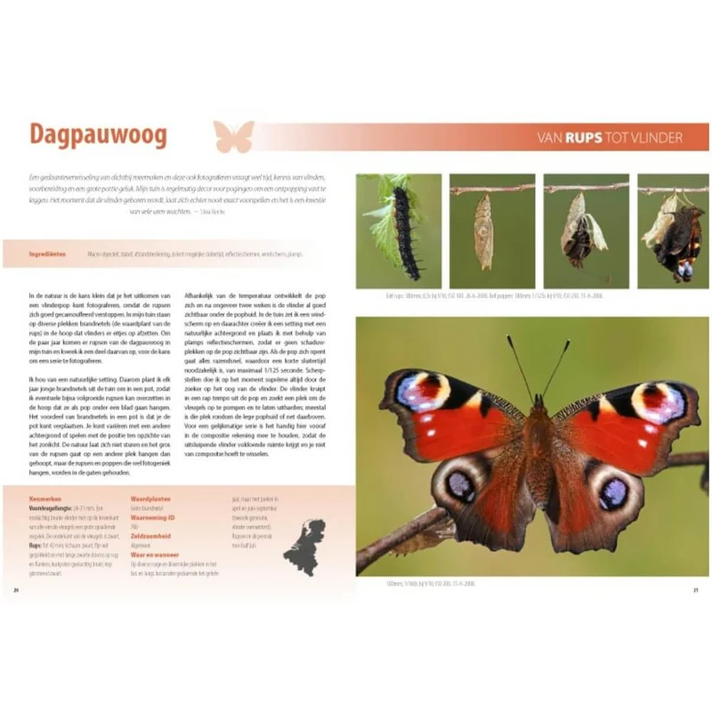 Fotografiegids Vlinders en Libellen