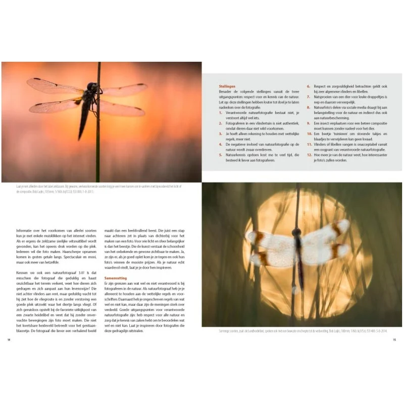 Fotografiegids Vlinders en Libellen