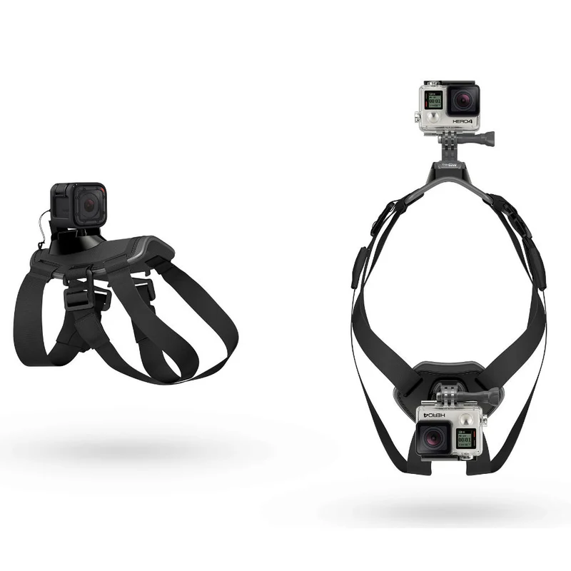 Gopro Fetch Harnais pour Chien