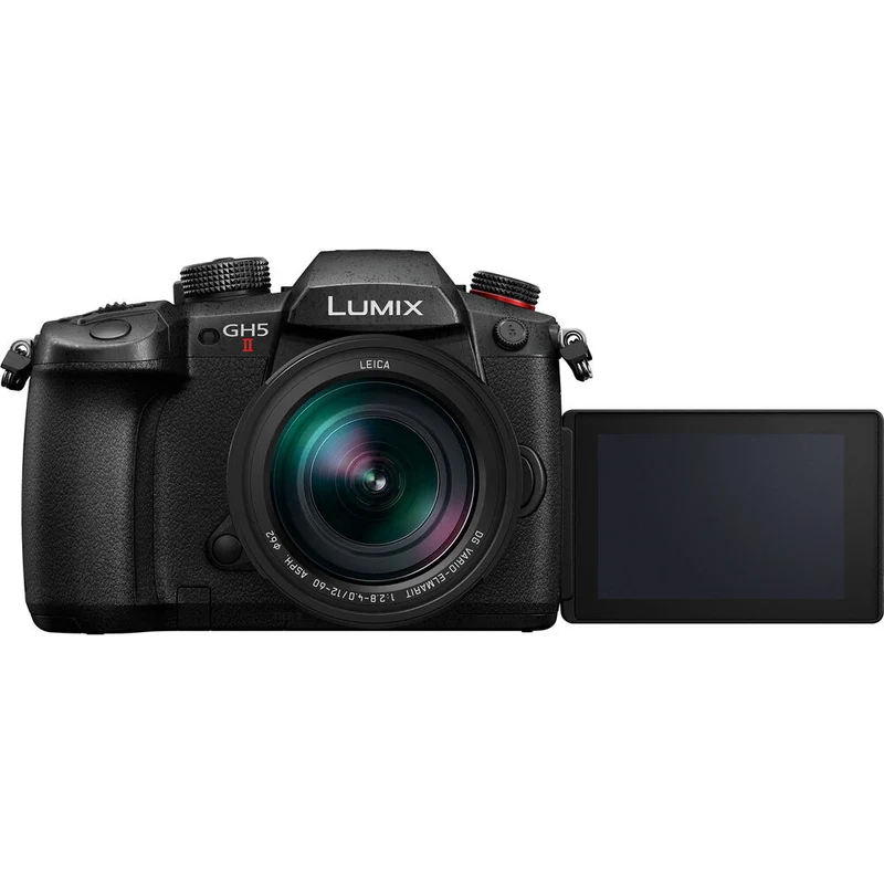 Panasonic Lumix DC-GH5M2E + Leica DG 12-60mm f/2.8-4 Vario-Elmarit