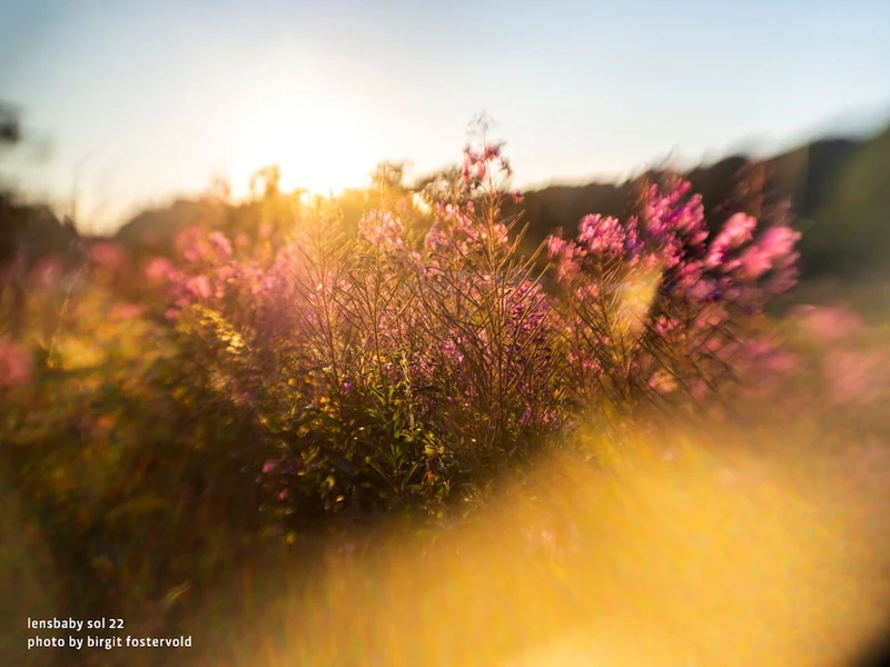 Lensbaby Sol 22 Micro 4/3
