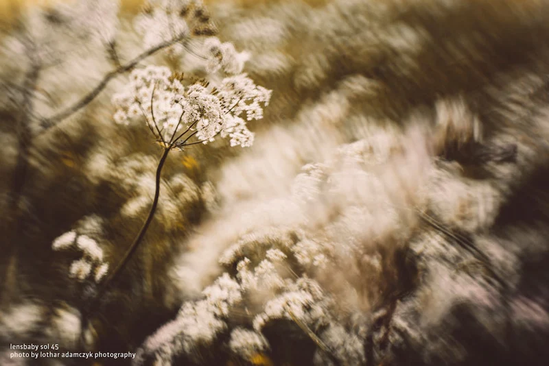 Lensbaby Sol 45 Canon EF / EF-S