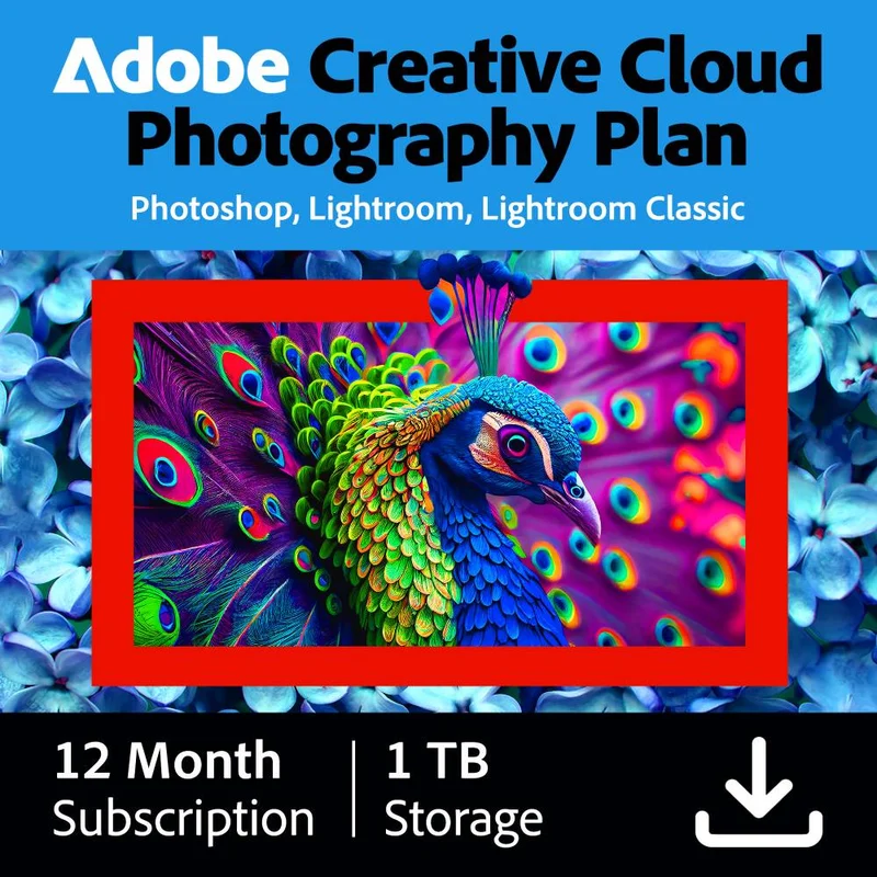 Adobe Creative Cloud Photography Plan 1 To de Stockage en Cloud 1 Utilisateur - 1 An - (Windows/Mac) - NL