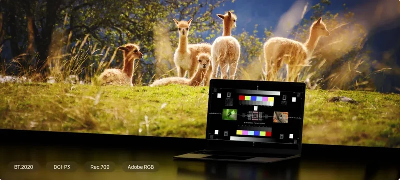 XGIMI Horizon 20 Pro