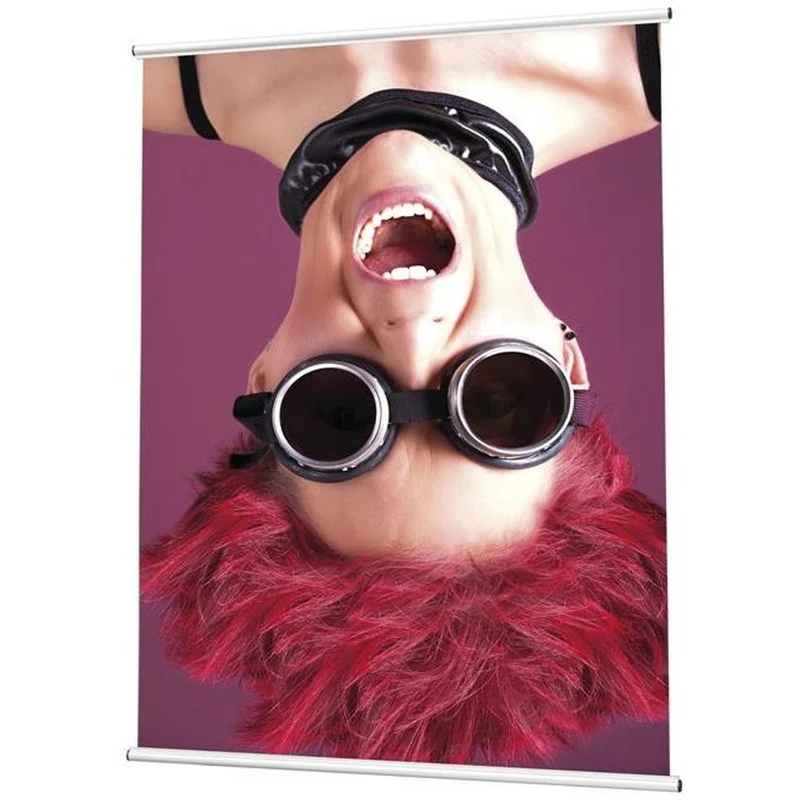 Posterhanger Porte-affiche 30 cm argent