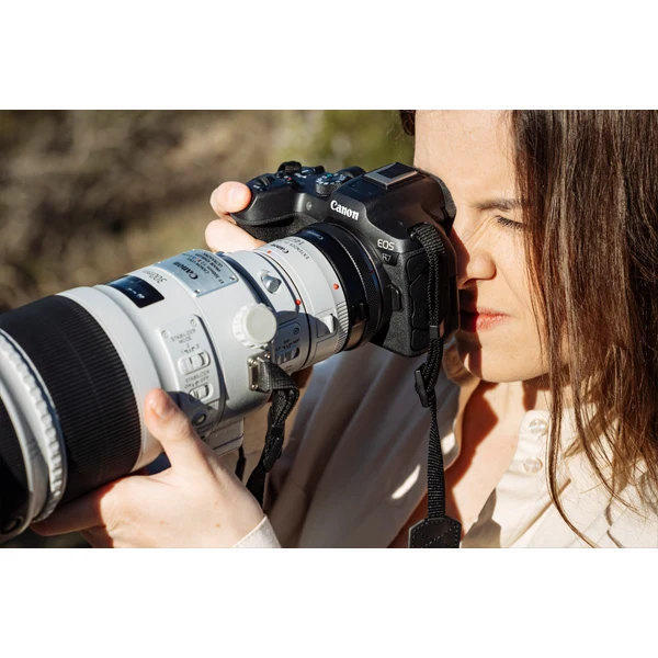 Canon EOS R7 boîtier + RF-S 18-150mm f/3.5-6.3 IS STM + adaptateur EF Pour Monture RF