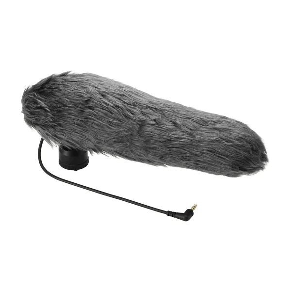 Panasonic Microphone Stéréo DMW-MS2