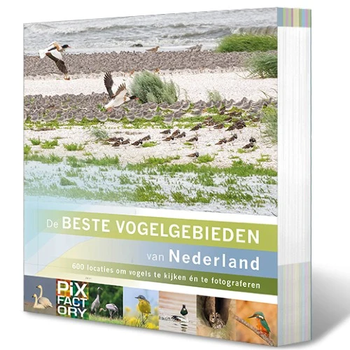 Pixfactory Les meilleures zones d'observation des oiseaux des Pays-Bas