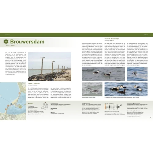 Pixfactory Les meilleures zones d'observation des oiseaux des Pays-Bas