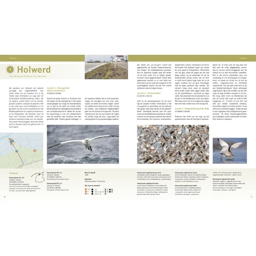 Pixfactory Les meilleures zones d'observation des oiseaux des Pays-Bas