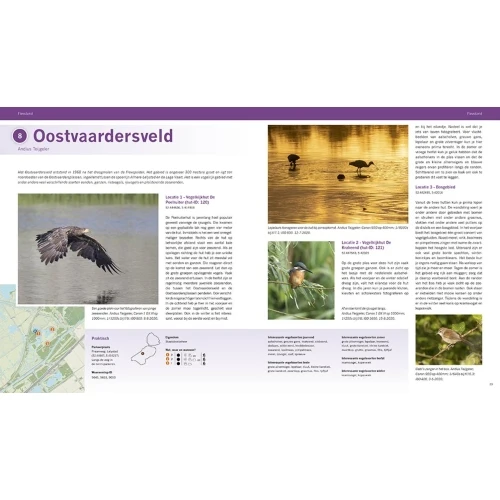 Pixfactory Les meilleures zones d'observation des oiseaux des Pays-Bas