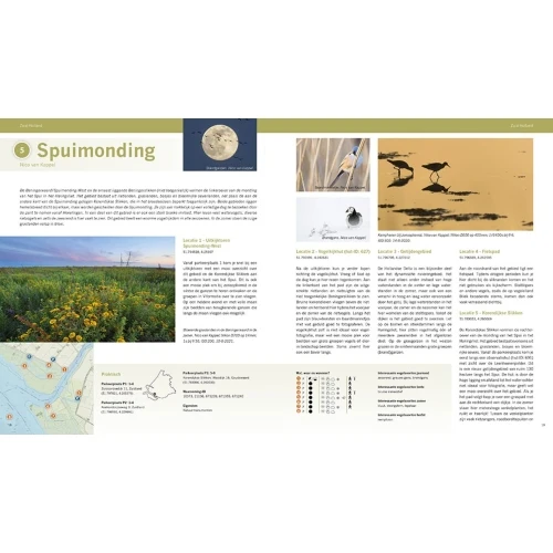 Pixfactory Les meilleures zones d'observation des oiseaux des Pays-Bas