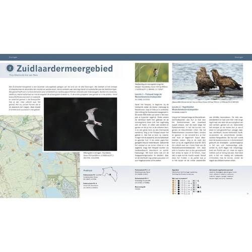 Pixfactory Les meilleures zones d'observation des oiseaux des Pays-Bas