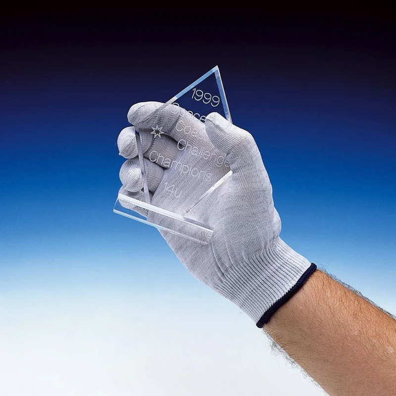 Kaiser Kinetronics gants antistatiques ASG-S (petit)