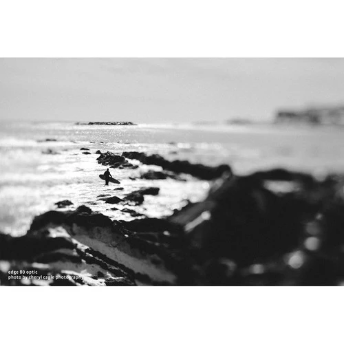 Lensbaby Composer Pro II avec Edge 80 Nikon Z