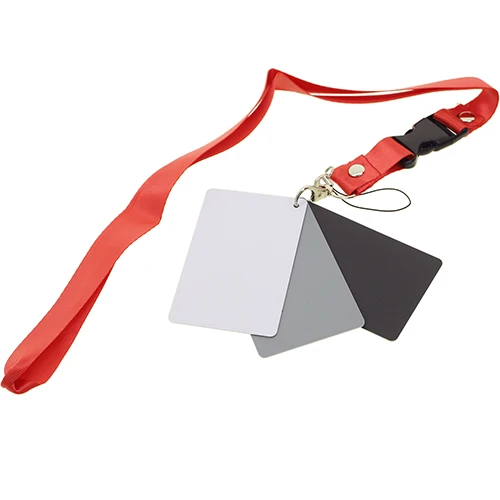 Kamera Express DGC-1 Carte Grise Numérique