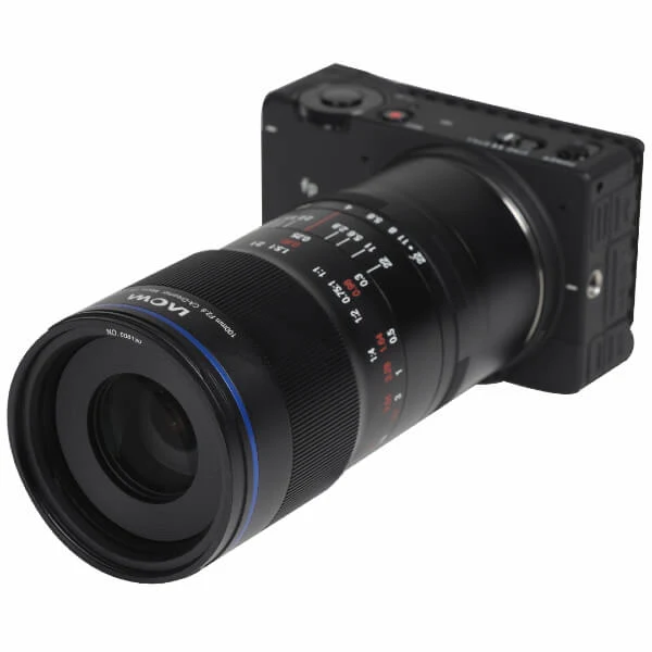 Laowa 100mm f / 2.8 2X Ultra-Macro APO Objectif - Leica L