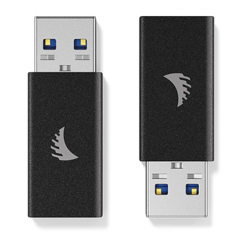 Angelbird USB 3.1 Gen2 Type-A a Type-C Adaptateur active noir