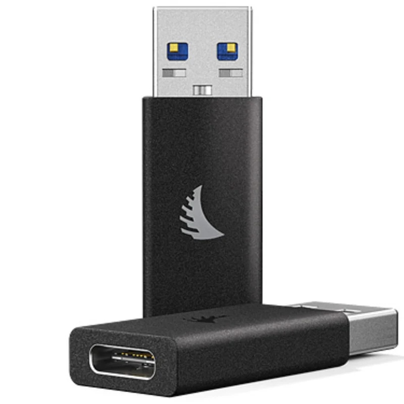 Angelbird USB 3.1 Gen2 Type-A a Type-C Adaptateur active noir
