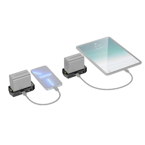 SmallRig Plaque d'adaptation de batterie 3168 NP-F Édition professionnelle