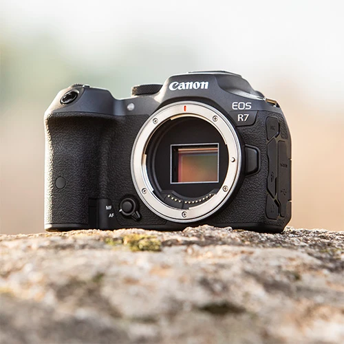 Canon EOS R7 + Sigma 18-50mm f/2.8 DC DN Canon RF Monture + Canon DM-E1 Microphone Stéréo