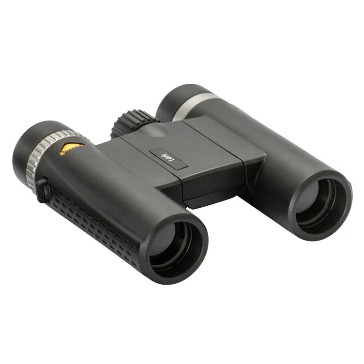 Bynolyt Lark 10x25