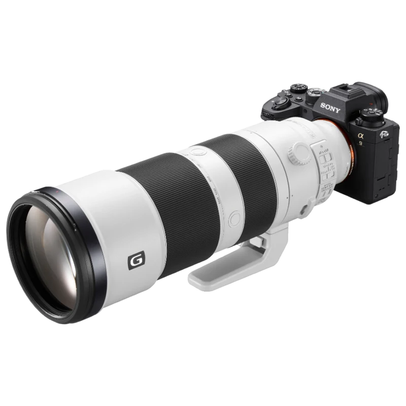Sony Alpha 9 Mark II + FE 200-600mm f/5.6-6.3 G OSS
