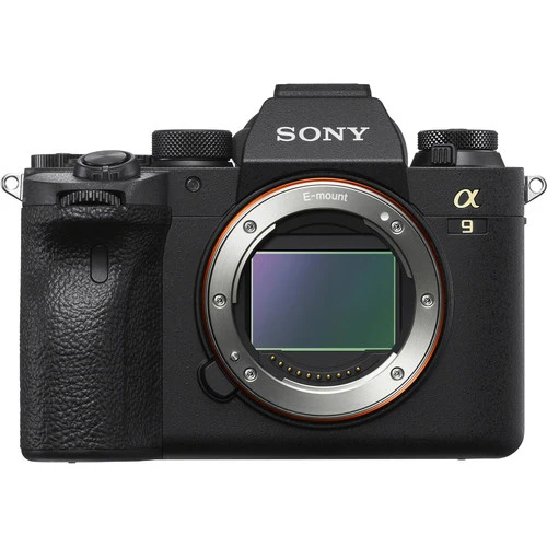 Sony Alpha 9 Mark II + FE 200-600mm f/5.6-6.3 G OSS