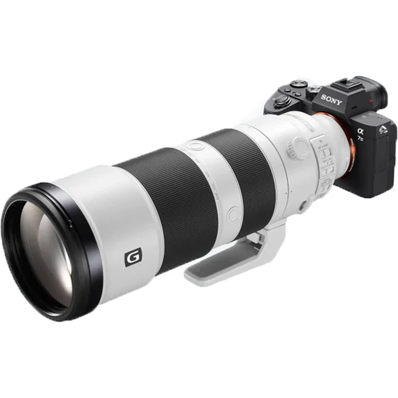 Sony Alpha 9 Mark II + FE 200-600mm f/5.6-6.3 G OSS