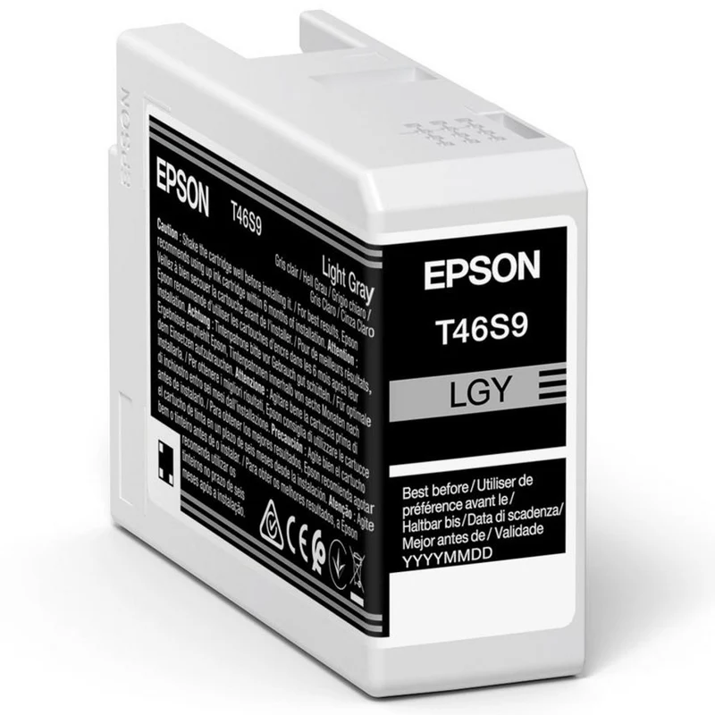 Epson Singlepack Gris Clair T46S9 UltraChrome Pro 10 Encre 25ml