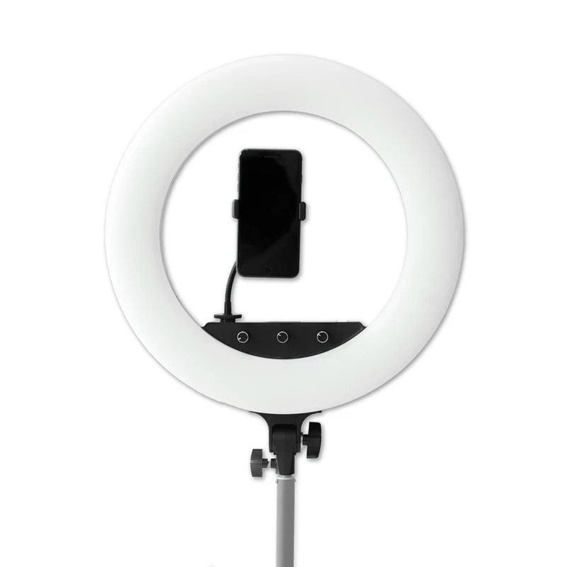 Caruba Ensemble Round Vlogger 18 pouces LED PRO avec sac rose