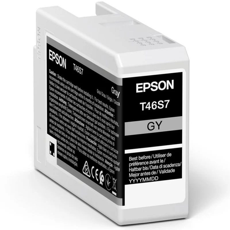Epson Singlepack Gris T46S7 UltraChrome Pro 10 Ink 25ml