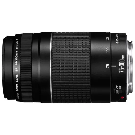 Canon EF 75-300mm f/4.0-5.6 III