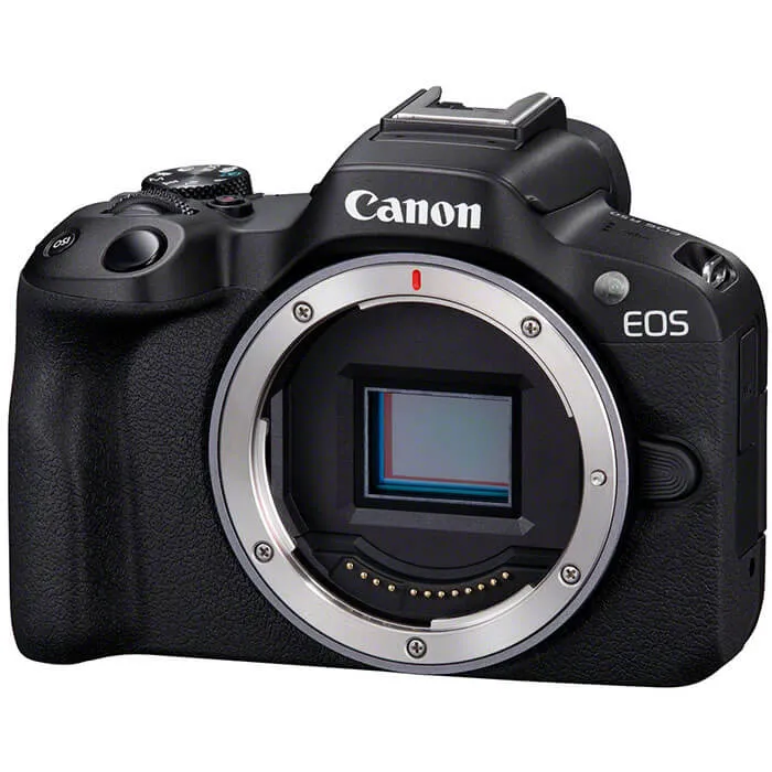 Canon EOS R50 Appareil Photo Hybride + Sigma 16-300mm f/3.5-6.7 DC OS