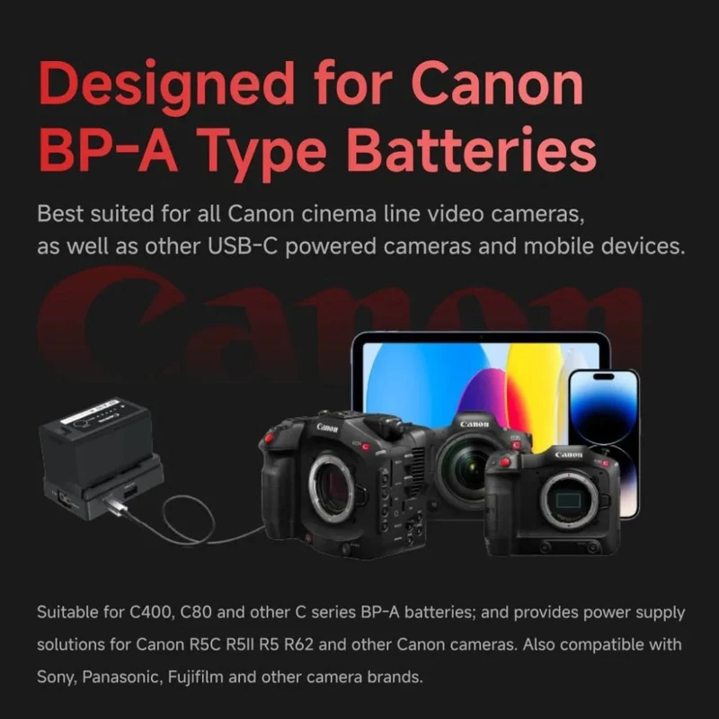 Accsoon - Toprig BP-A Plaque de batterie